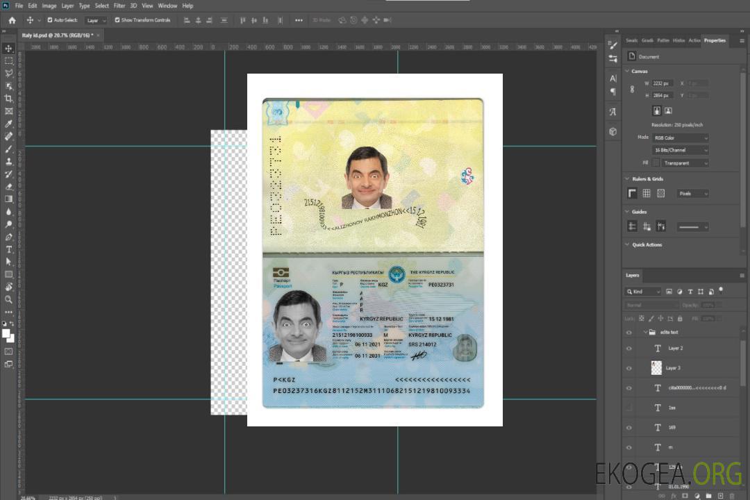 Passeport kirghize 2021-présent template
